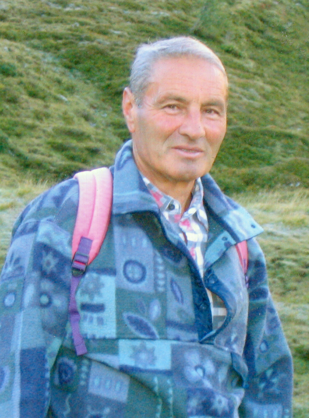 Luigi Zanella